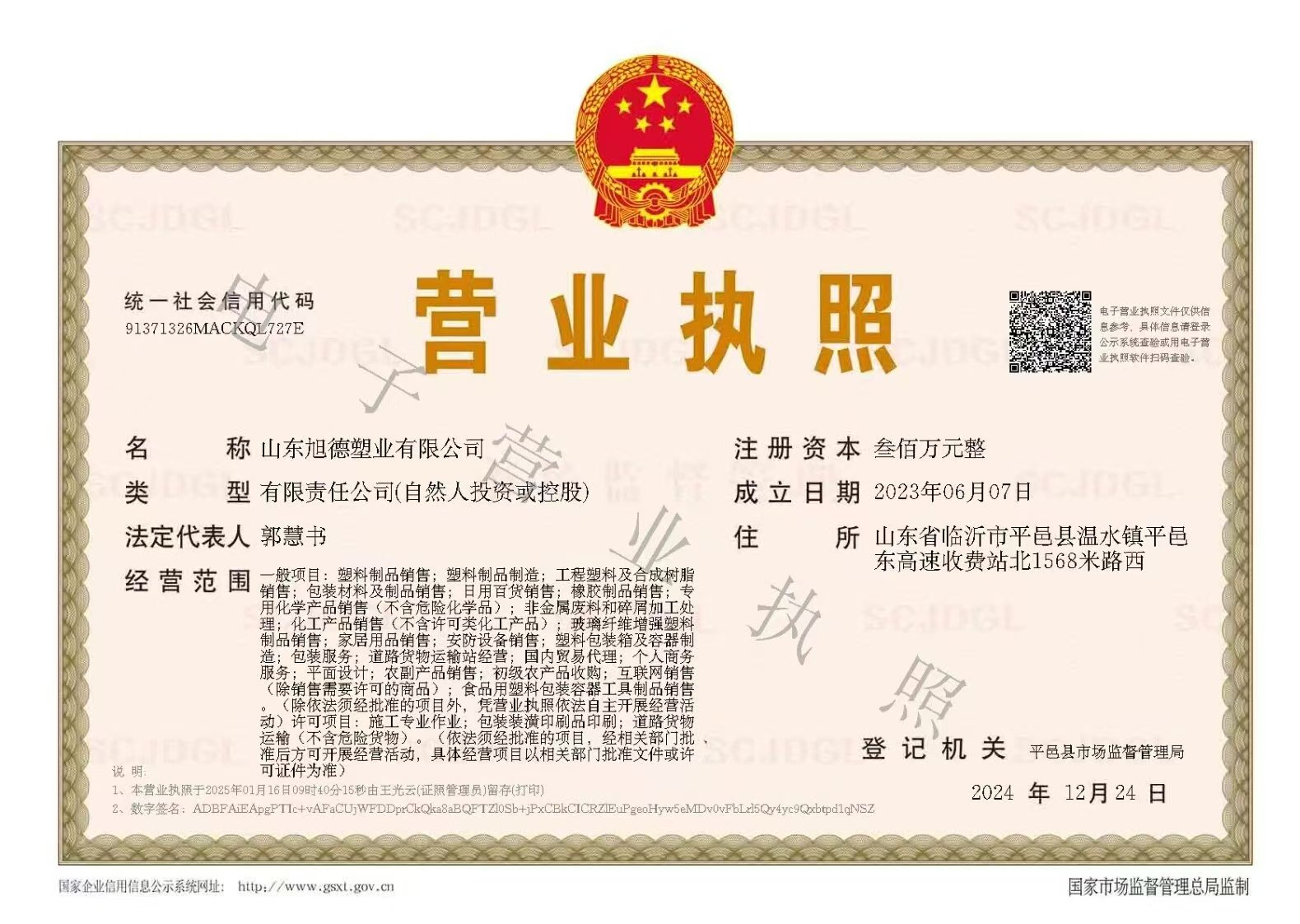 执照
